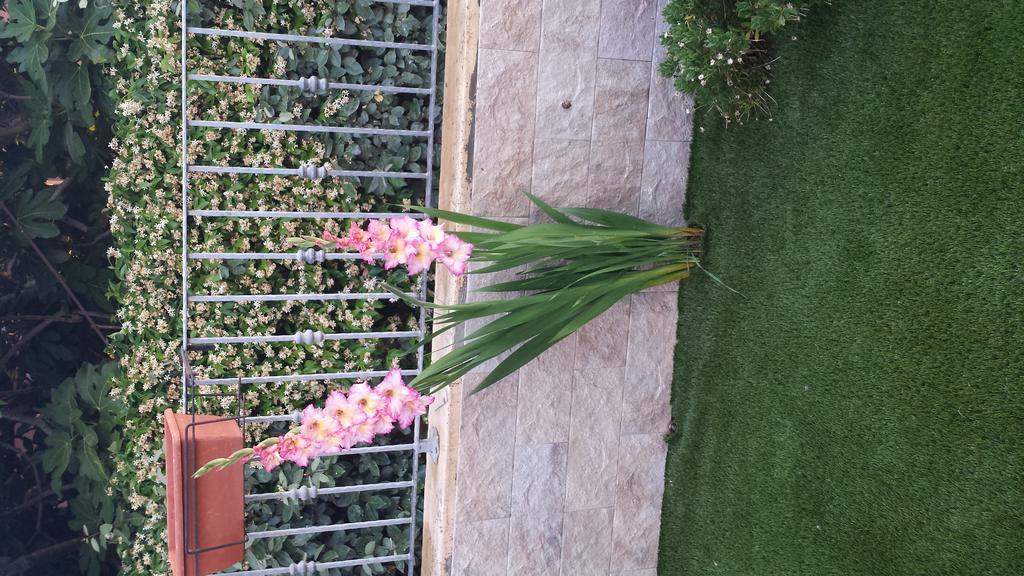 Casa Con Giardino Villa ออลเบีย ภายนอก รูปภาพ